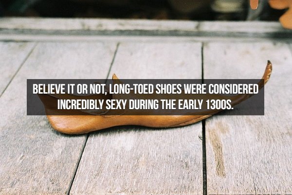 Interesting Middle Ages Facts (17 pics)
