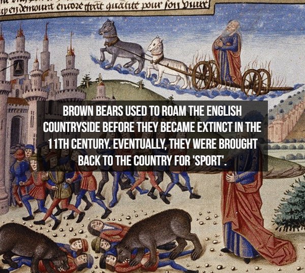 Interesting Middle Ages Facts (17 Pics)