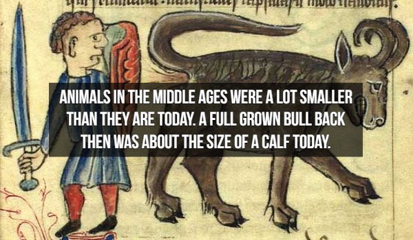 Interesting Middle Ages Facts (17 pics)