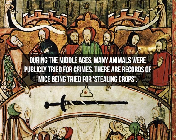 Interesting Middle Ages Facts (17 pics)