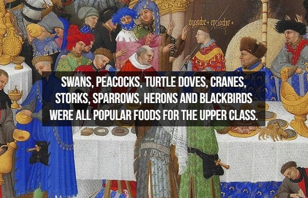 Interesting Middle Ages Facts (17 pics)