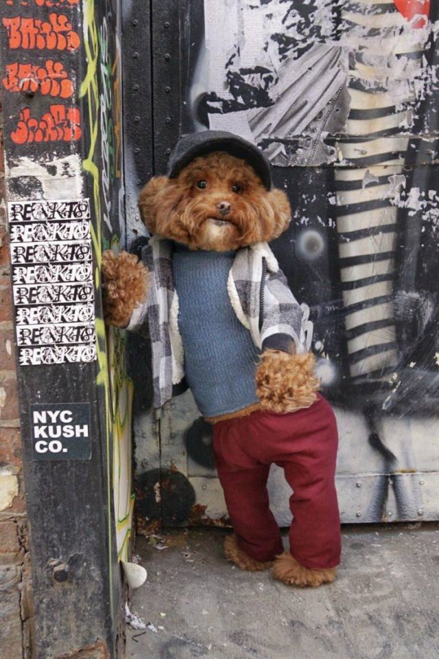 Acid Picdump. Part 1 (96 pics)