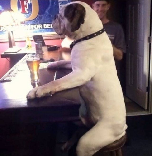 Acid Picdump. Part 1 (96 pics)