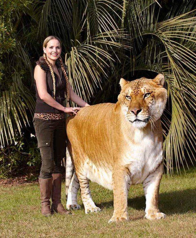Acid Picdump. Part 1 (96 pics)