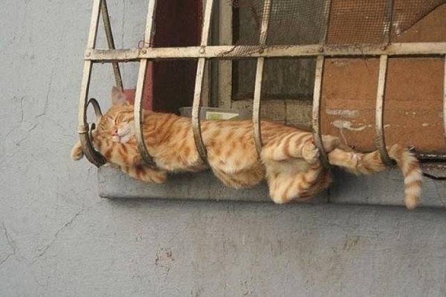 Acid Picdump. Part 1 (96 pics)