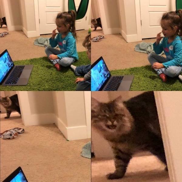 Acid Picdump. Part 1 (96 pics)