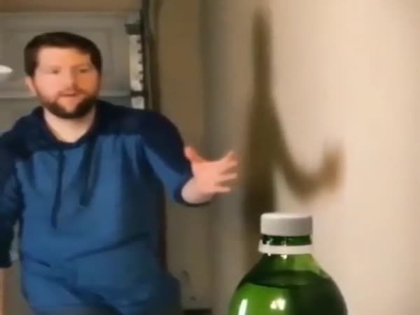 Some Skills There