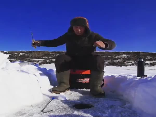 Great Fishing Catch