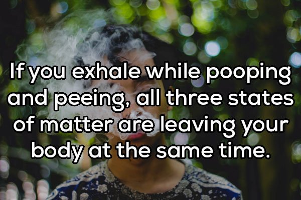 Shower Thoughts (20 pics)