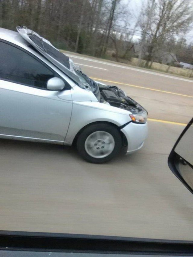 Totally Nailed It (50 pics)