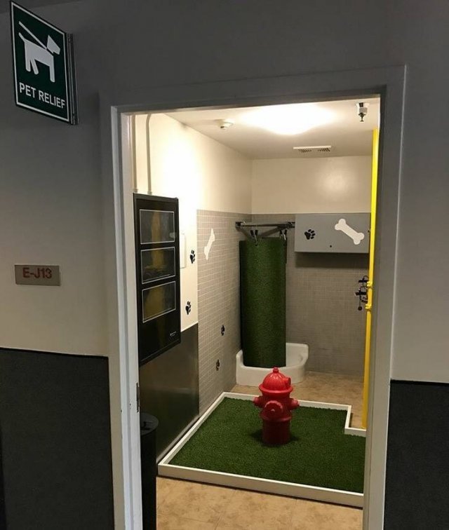 These Designs Are Too Good (48 pics) These Designs Are Too Good (48 pics)