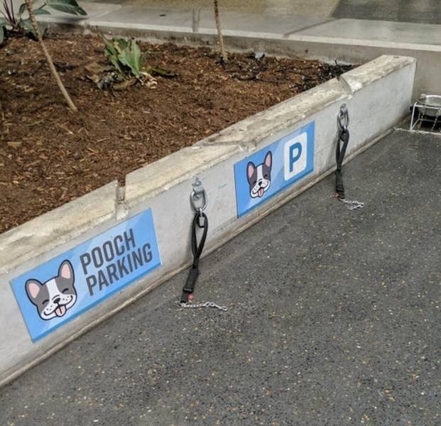 These Designs Are Too Good (48 pics) These Designs Are Too Good (48 pics)