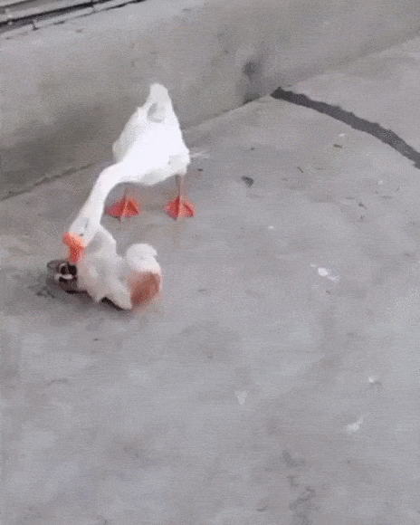 Acid Gifdump, December 13 (25 gifs)
