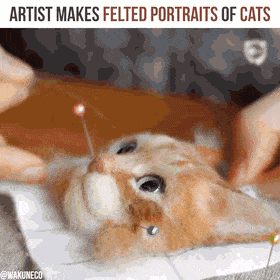 Acid Gifdump, December 13 (25 gifs)