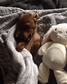 Acid Gifdump, December 13 (25 gifs)