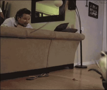 Acid Gifdump, December 13 (25 gifs)