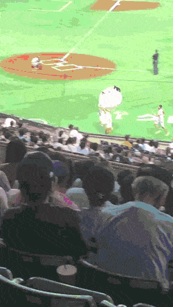 Acid Gifdump, December 13 (25 gifs)