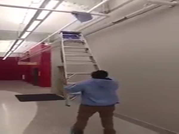 They Said To Use A Ladder
