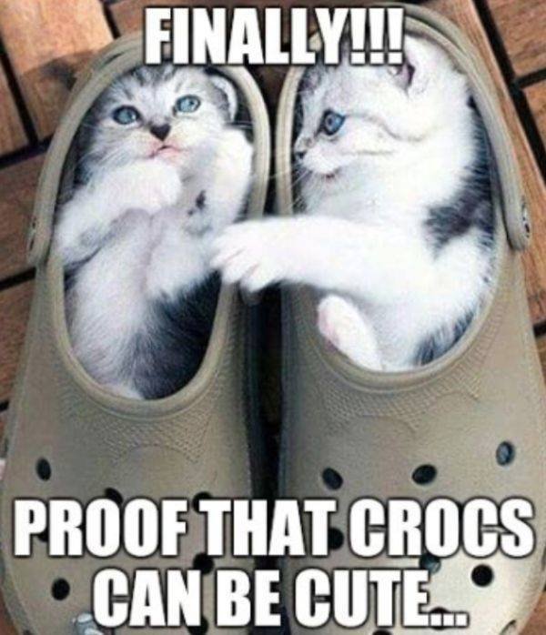 Crocs Memes (30 pics)