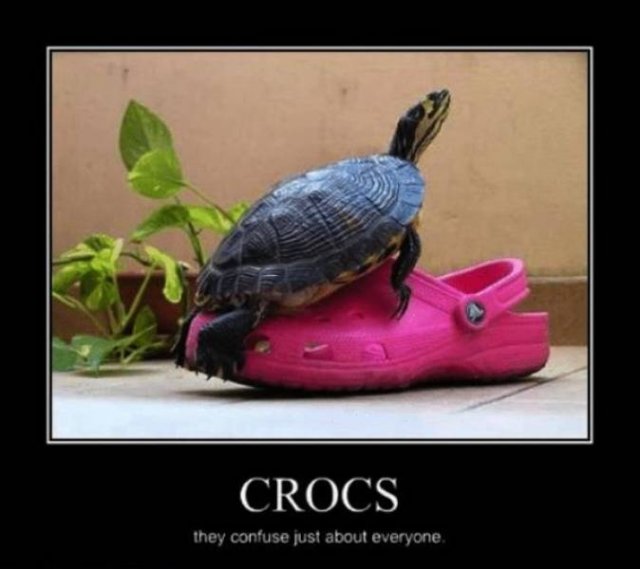 Crocs Memes (30 pics)