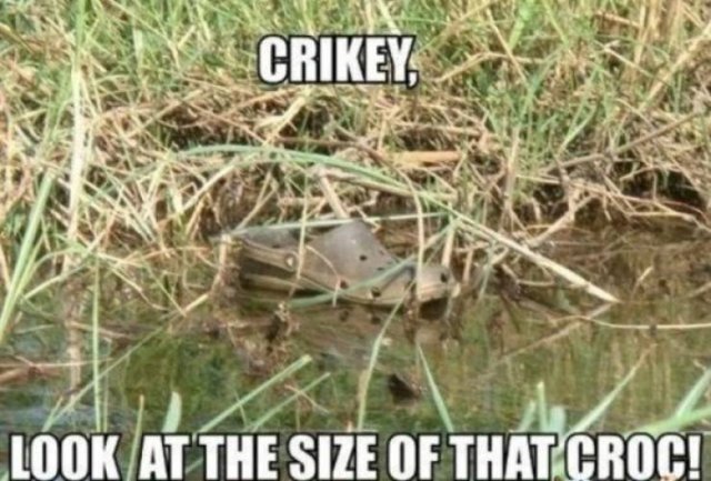 Crocs Memes (30 pics)