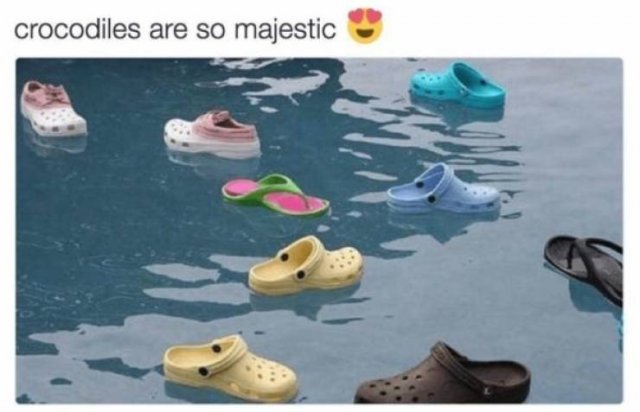 Crocs Memes (30 pics)