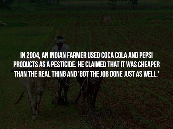 Interesting Facts (15 pics)