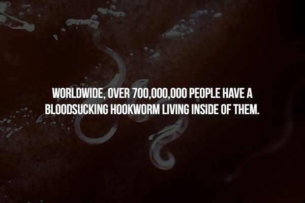 Interesting Facts (15 pics)