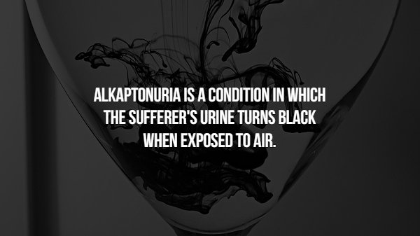 Interesting Facts (15 pics)