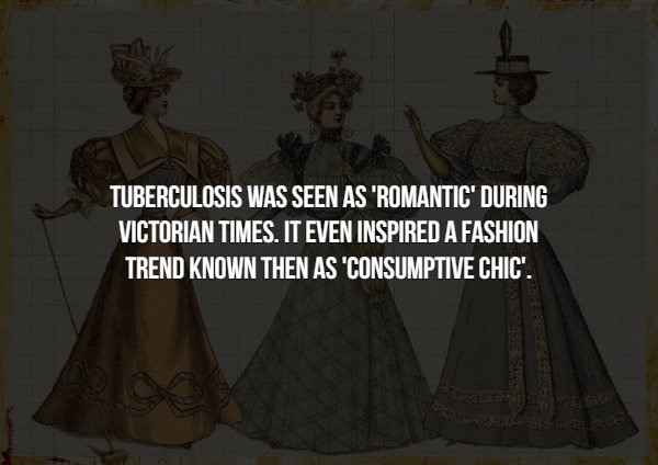 Interesting Facts (15 pics)