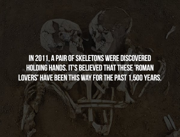 Interesting Facts (15 pics)