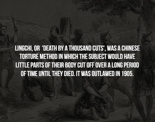 Interesting Facts (15 pics)