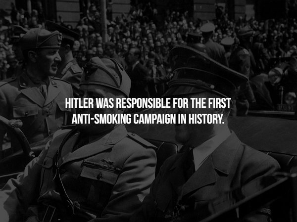 Interesting Facts (15 pics)