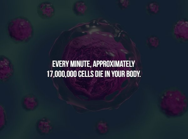 Interesting Facts (15 pics)