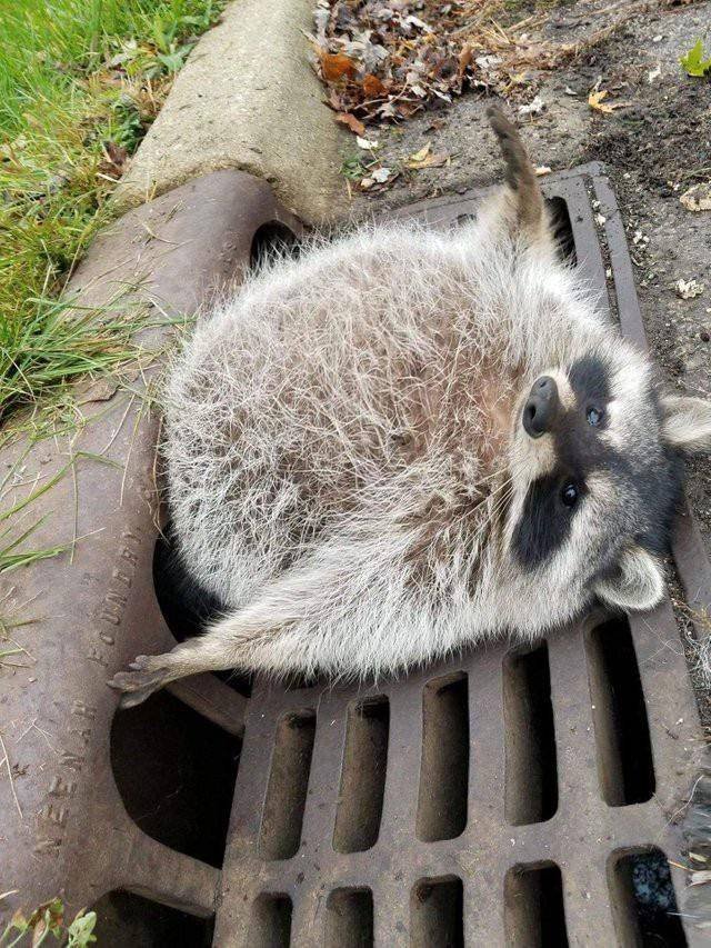 Acid Picdump. Part 1 (135 pics)