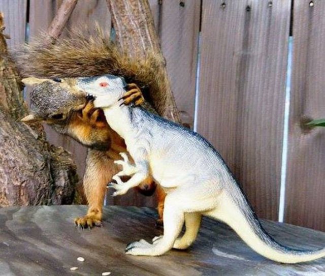 Acid Picdump. Part 1 (135 pics)