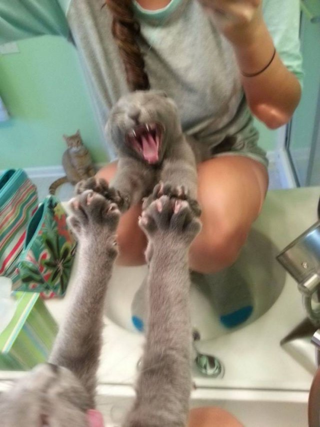 Acid Picdump. Part 1 (135 pics)