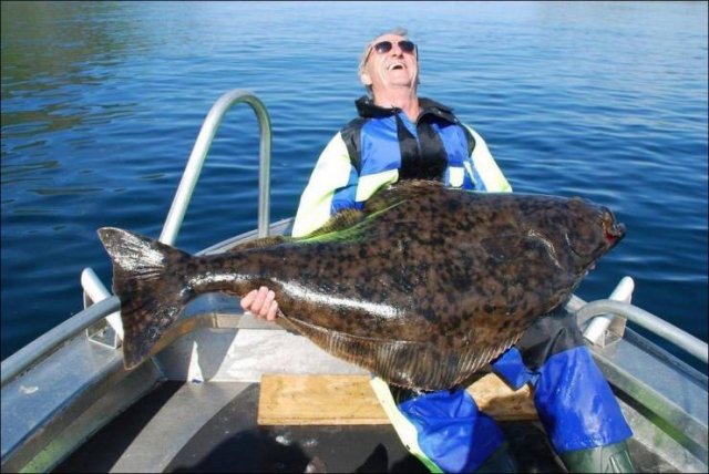 Acid Picdump. Part 2 (130 pics) Acid Picdump. Part 2 (130 pics)