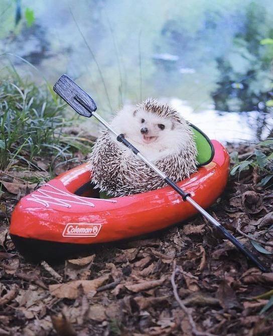 Acid Picdump. Part 2 (130 pics)