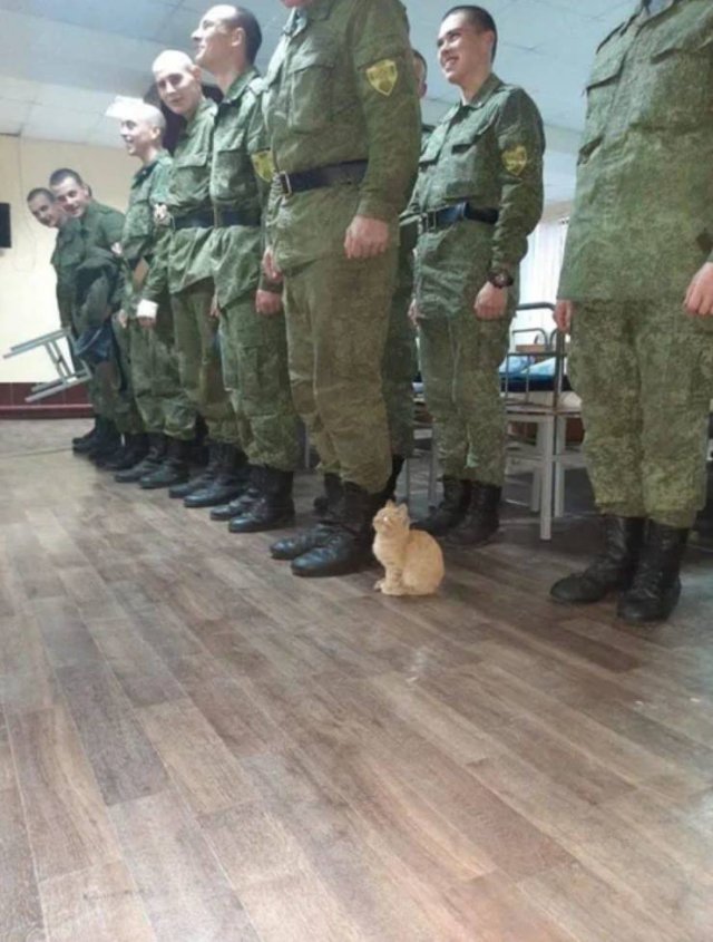Acid Picdump. Part 1 (135 pics)