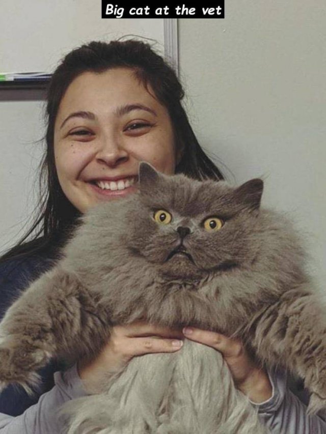 Acid Picdump. Part 1 (135 pics)
