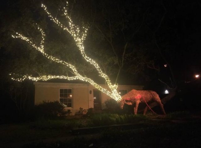 Acid Picdump. Part 2 (130 pics)