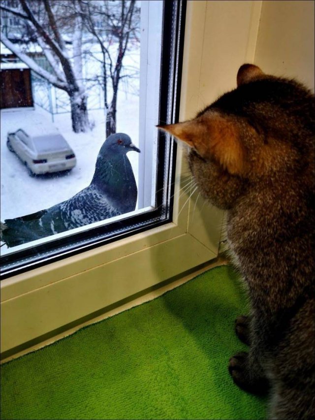 Acid Picdump. Part 1 (135 pics)