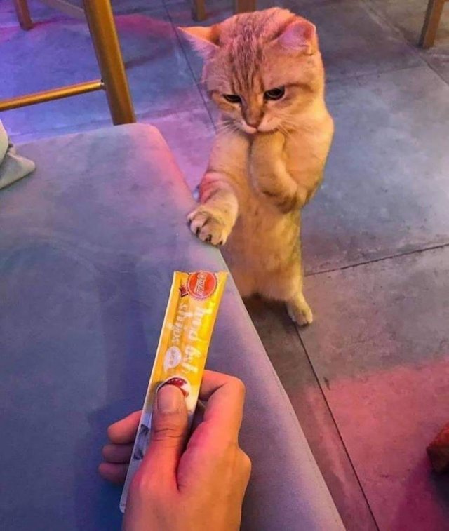 Acid Picdump. Part 1 (135 pics)