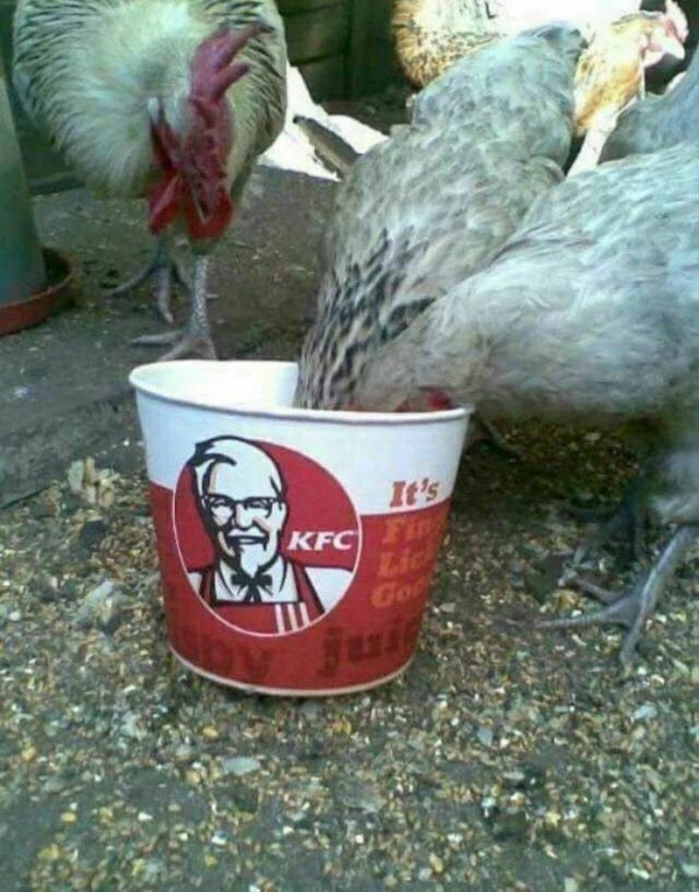 Acid Picdump. Part 1 (135 pics)