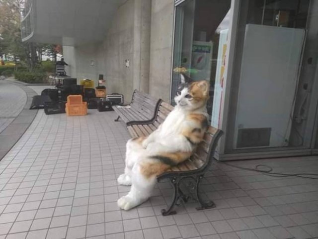 Acid Picdump. Part 1 (135 pics)
