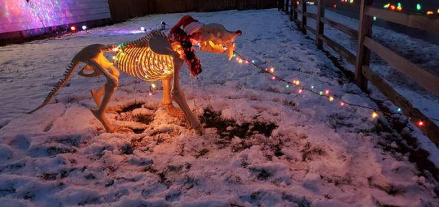 Acid Picdump. Part 2 (130 pics) Acid Picdump. Part 2 (130 pics)