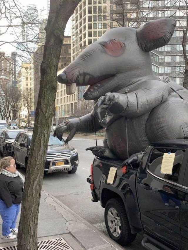 Acid Picdump. Part 1 (135 pics)