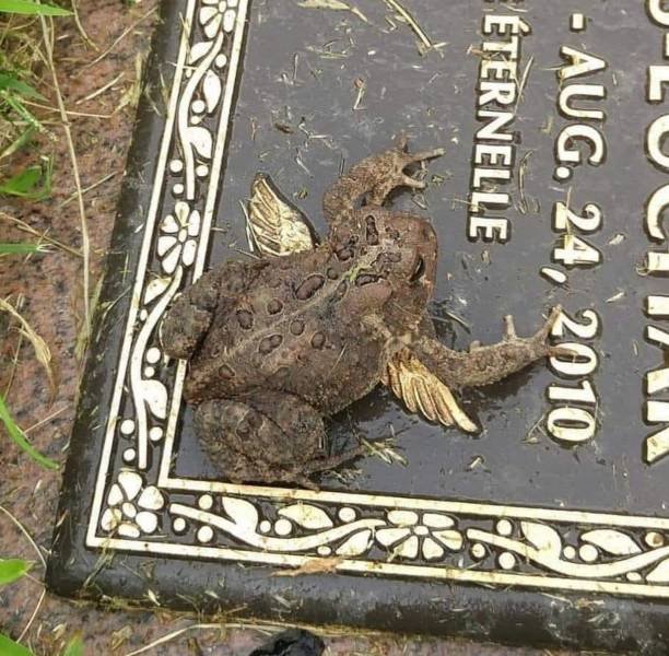 Acid Picdump. Part 1 (135 pics)