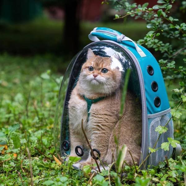 Acid Picdump. Part 2 (130 pics)